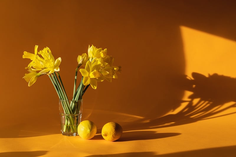 DIY Home Decor