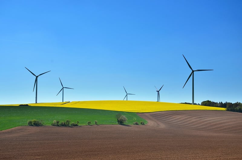 Sustainable DIYs